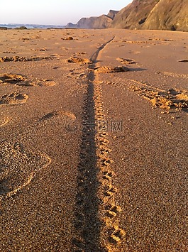 海灘,軌道,海