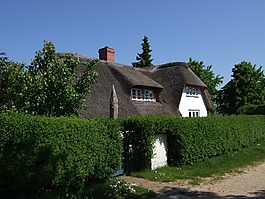 amrum,茅草的屋頂,首頁