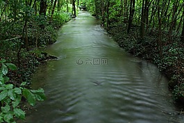 過獨(dú)身生活,森林,水