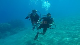 跳水,海,水下