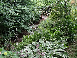 橋,花園,過(guò)獨(dú)身生活