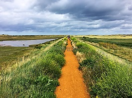 海岸的路径,沼泽,诺福克