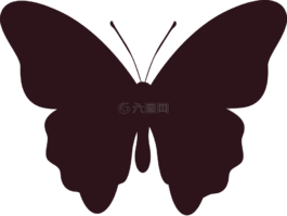 側(cè)影,蝴蝶,昆蟲