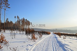 冬季,西伯利亚,雪
