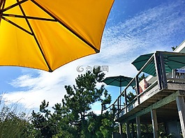 火燒島,松樹,日光浴