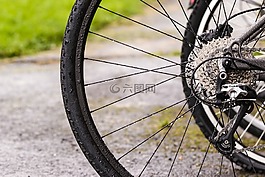 輪子自行車,自行車,草