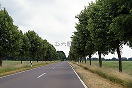 路,大道,樹木