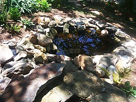 石,池,水