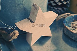 一品紅,明星,木材的明星