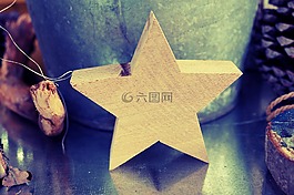 一品紅,明星,木材的明星