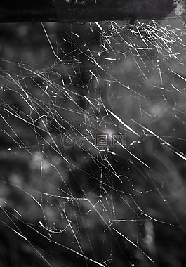 web,抽象,自然
