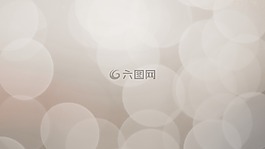 軟,米色,散景