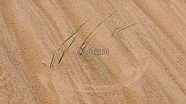 蒙古,沙漠,結(jié)構(gòu)