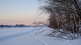 冬季,雪,冷淡地