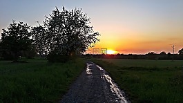西,字段,太陽