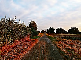 秋,太陽(yáng),西