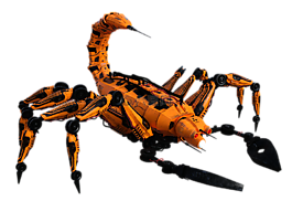 天蝎座,節(jié)肢動物,gliederfüsser
