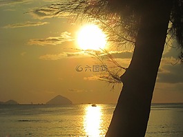 大海,太陽(yáng),松樹