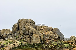 石头,蓬塔德 tralca,智利