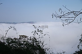 樹,弗羅斯特,山地和丘陵