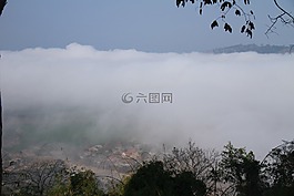 樹,弗羅斯特,山地和丘陵