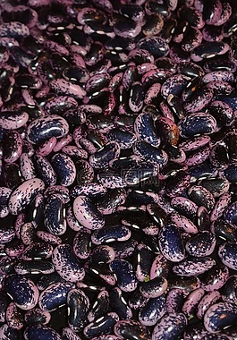 豆类,蔬菜,豆