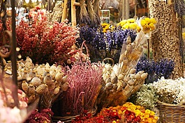 鮮花,花集合,花束