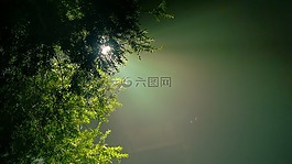 常綠,希望,色相