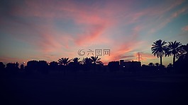 云,棕櫚樹,如詩如畫