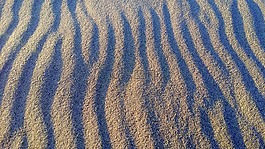 砂,海灘,風(fēng)