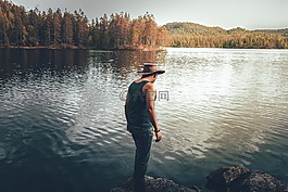 后視圖,男孩,針葉樹