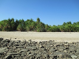 景观,自然,海沙滩