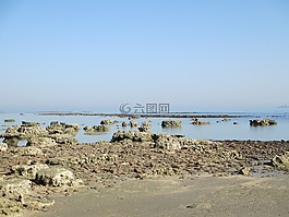 海沙灘,珊瑚,自然