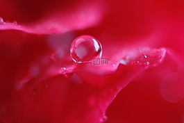 一滴水,明確,宏