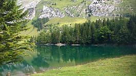 bergsee,seealpsse,wasserauen