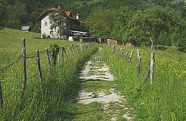 村,草,戶外