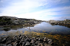 景觀,水,湖
