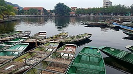 越南,宁平,河内