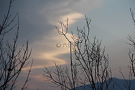 冬季,天空,木材