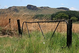 农场门,veld,绿色