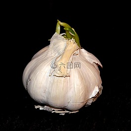 蔬菜,大蒜,丁香大蒜
