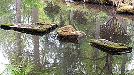 石步,水,溪