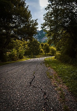 路,山,樹