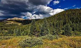 科羅拉多州,落基山,森林