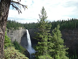 秋天,helmcken,公园