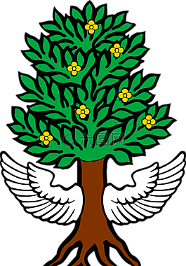 樹(shù),翅膀,根