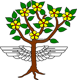 樹(shù),翅膀,根