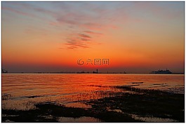 日出,海,美景