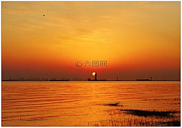 日出,海,美景
