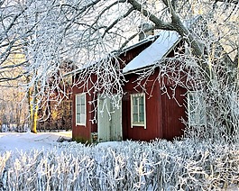 冬天,山寨,雪